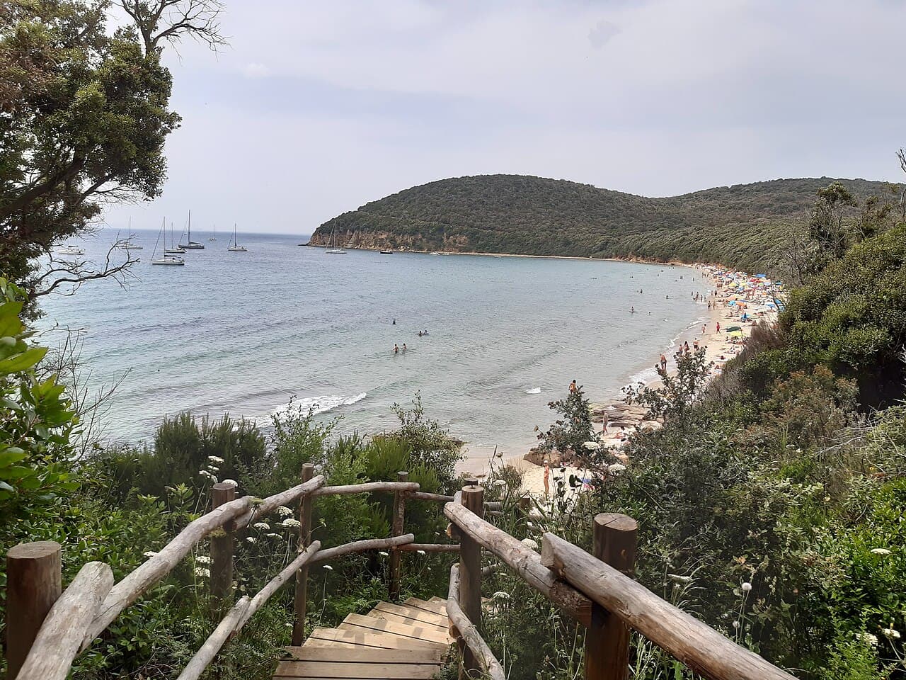 Cala Violina, Vada e Castiglioncello