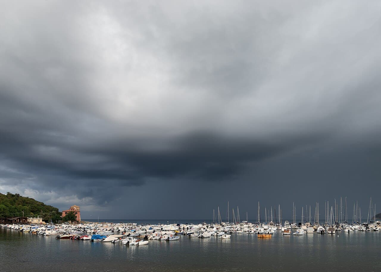 Riserva di Rimigliano e Costa degli Etruschi vicino a San Vincenzo