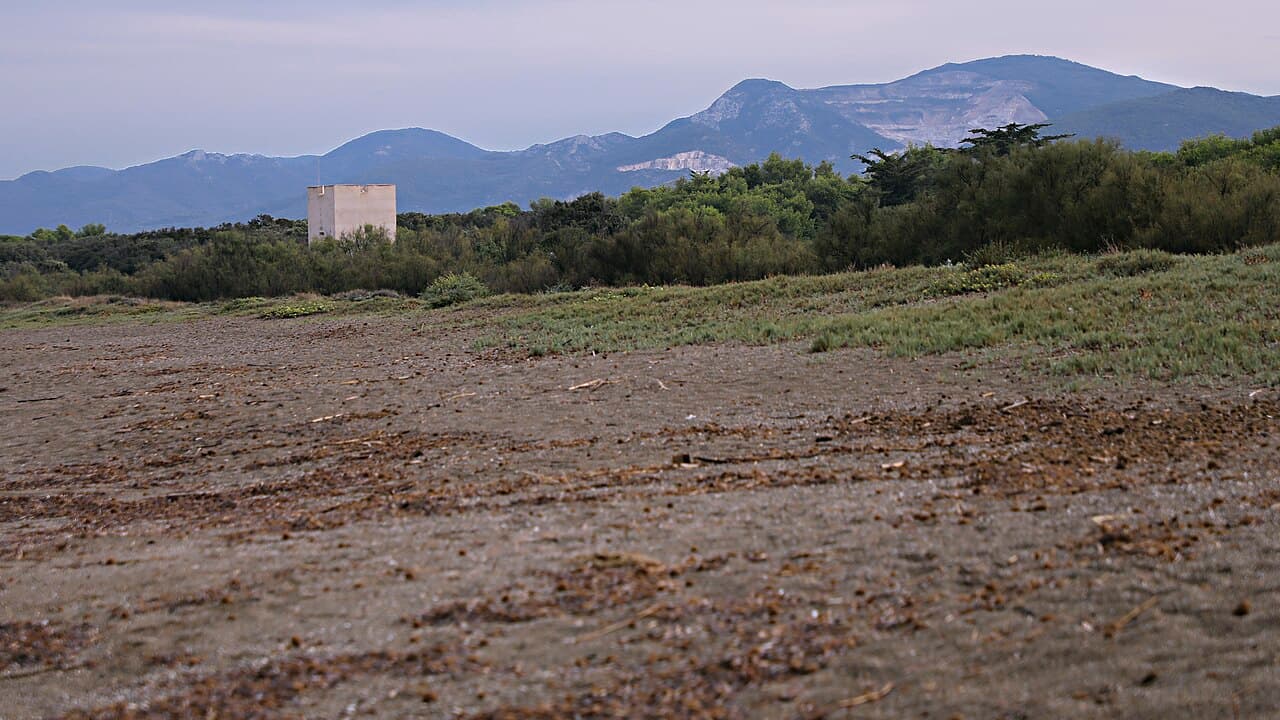 San Vincenzo: spiaggia, lungomare e stabilimenti